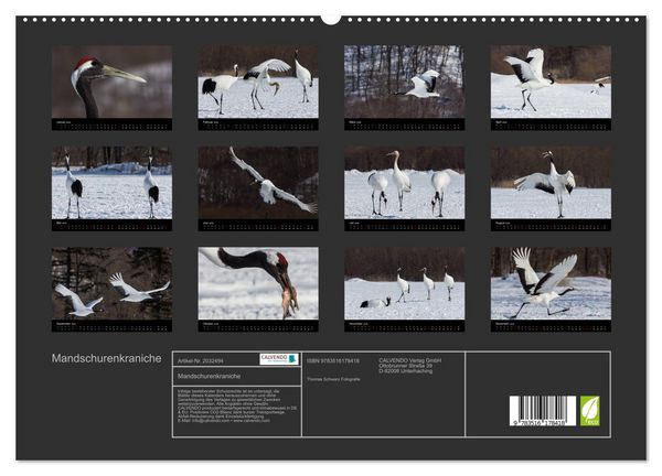 Produktbild: Mandschurenkraniche (hochwertiger Premium Wandkalender 2026 DIN A2 quer), Kunstdruck in Hochglanz