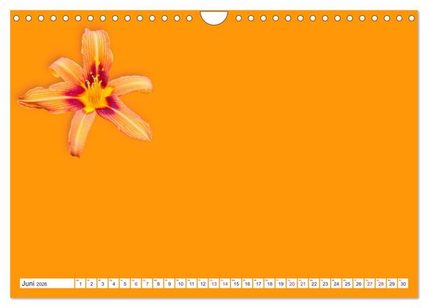 Produktbild: DIY POESIE - BASTELKALENDER (Wandkalender 2026 DIN A4 quer), CALVENDO Monatskalender