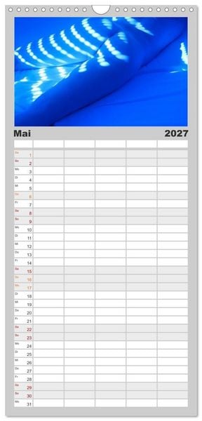Produktbild: Familienplaner 2027 - M&Auml;NNER - AKTE ZWISCHEN KRAFT UND SINNLICHKEIT mit 5 Spalten (Wandkalender, 21 x 45 cm) CALVENDO