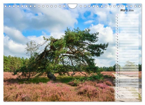Produktbild: Heidespaziergang (Wandkalender 2026 DIN A4 quer), CALVENDO Monatskalender
