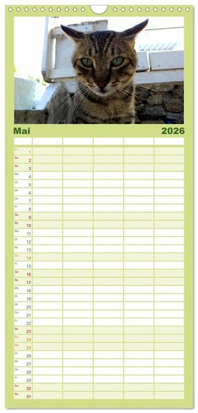 Produktbild: Familienplaner 2026 - SAMTPFOTEN "fellnah" mit 5 Spalten (Wandkalender, 21 x 45 cm) CALVENDO