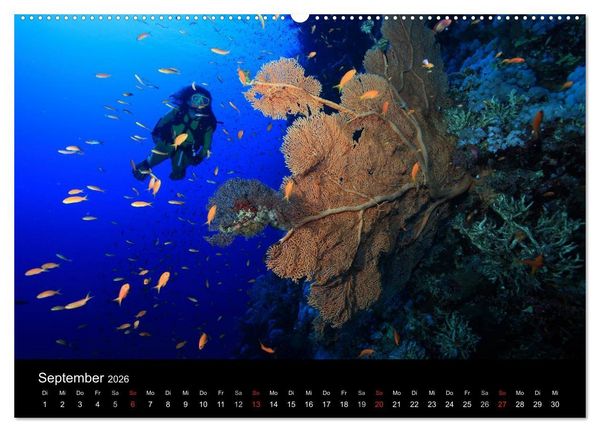 Produktbild: Magische Unterwasserwelten (Wandkalender 2026 DIN A2 quer), CALVENDO Monatskalender