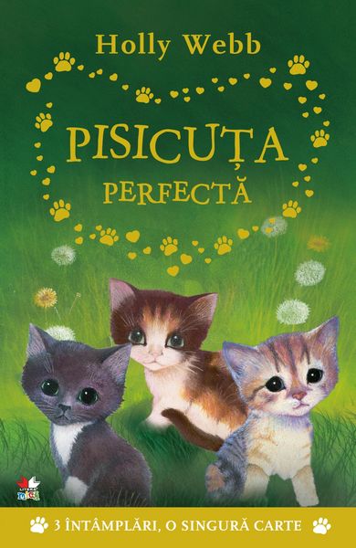 Produktbild: Pisicuta Perfecta