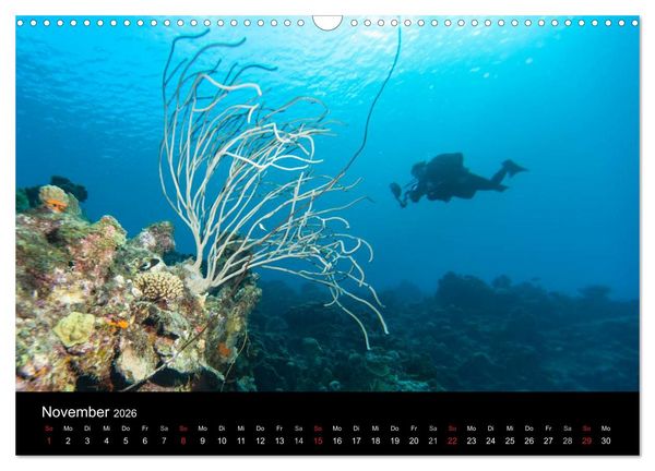 Produktbild: Abgetaucht - an den K&uuml;sten vor Cura&ccedil;ao (Wandkalender 2026 DIN A3 quer), CALVENDO Monatskalender