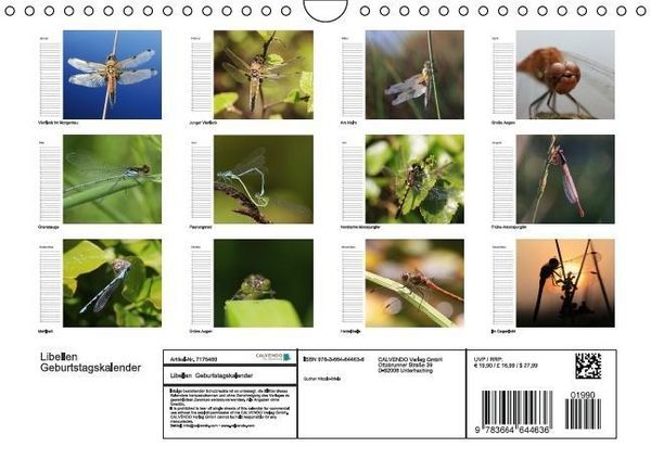 Produktbild: Libellen Geburtstagskalender (Wandkalender immerw&auml;hrend DIN A4 quer)