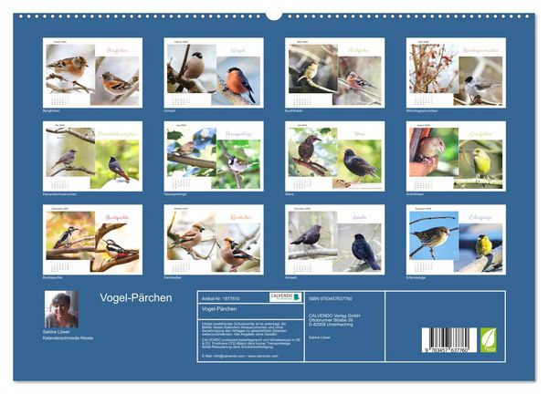 Produktbild: Vogel-P&auml;rchen (Wandkalender 2026 DIN A2 quer), CALVENDO Monatskalender