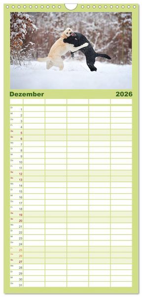 Produktbild: Familienplaner 2026 - Labrador Retriever mit 5 Spalten (Wandkalender, 21 x 45 cm) CALVENDO