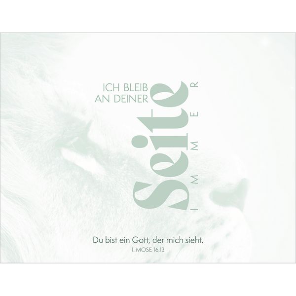 Produktbild: Mutig und gest&auml;rkt auf deinem Weg