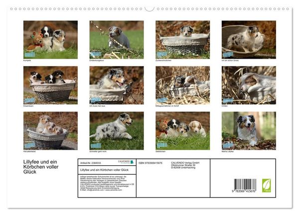 Produktbild: Lillyfee und ein K&ouml;rbchen voller Gl&uuml;ck (hochwertiger Premium Wandkalender 2027 DIN A2 quer), Kunstdruck in Hochglanz