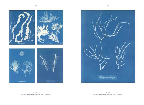 Produktbild: Anna Atkins