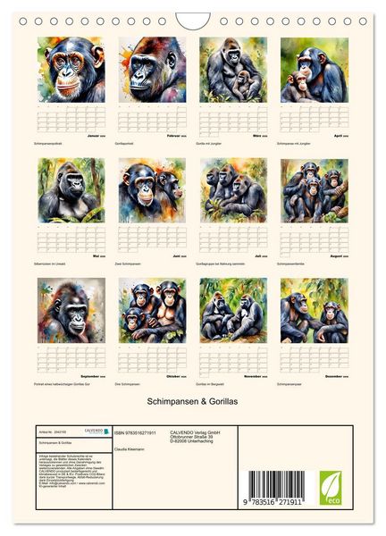 Produktbild: Schimpansen & Gorillas (Wandkalender 2026 DIN A4 hoch), CALVENDO Monatskalender