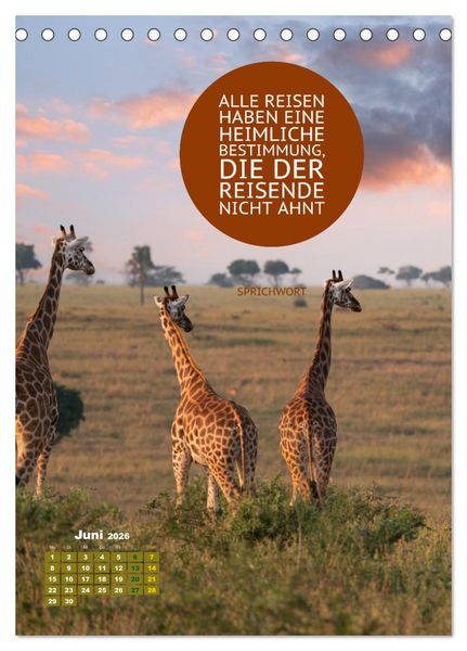Produktbild: Verr&uuml;ckt nach REISEN Fernweh - Travel - Spr&uuml;che (Tischkalender 2026 DIN A5 hoch), CALVENDO Monatskalender
