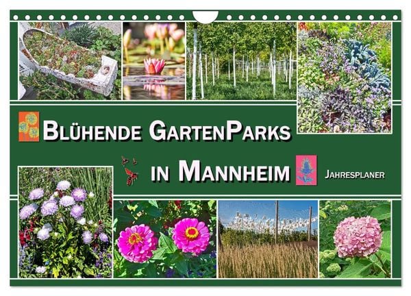 Produktbild: Bl&uuml;hende Gartenparks in Mannheim (Wandkalender 2026 DIN A4 quer), CALVENDO Monatskalender