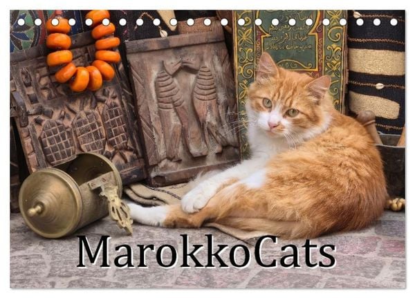 Produktbild: MarokkoCats (Tischkalender 2027 DIN A5 quer), CALVENDO Monatskalender