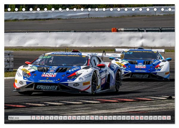 Produktbild: Wilde Stiere am N&uuml;rburgring (Tischkalender 2026 DIN A5 quer), CALVENDO Monatskalender