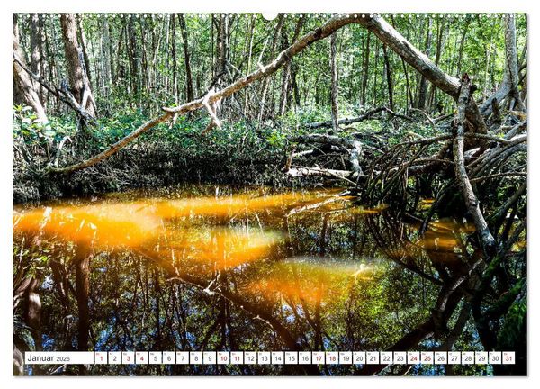 Produktbild: Unterwegs auf Yucatan Mexiko (hochwertiger Premium Wandkalender 2026 DIN A2 quer), Kunstdruck in Hochglanz
