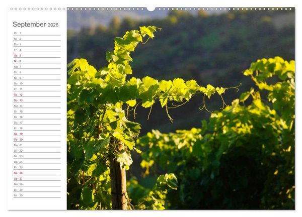 Produktbild: Wein (Wandkalender 2026 DIN A2 quer), CALVENDO Monatskalender
