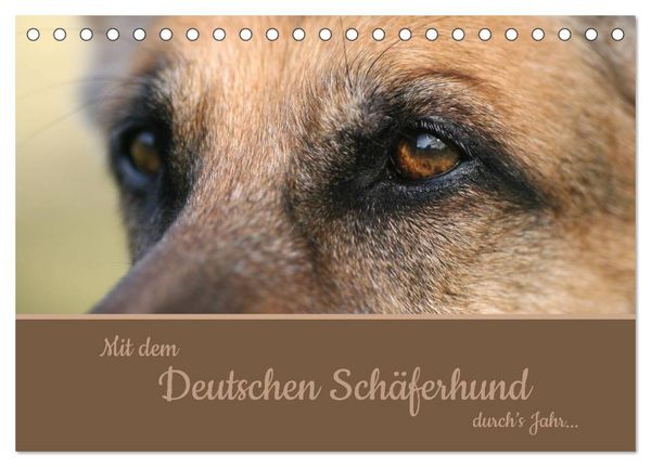 Produktbild: Mit dem Deutschen Sch&auml;ferhund durch's Jahr (Tischkalender 2026 DIN A5 quer), CALVENDO Monatskalender