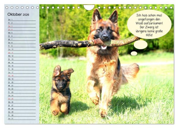 Produktbild: Hurra! Wir gehen Gassi! Abenteuer mit dem Hund! (Wandkalender 2026 DIN A4 quer), CALVENDO Monatskalender