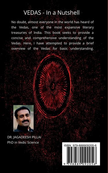 Produktbild: VEDAS - In a Nutshell