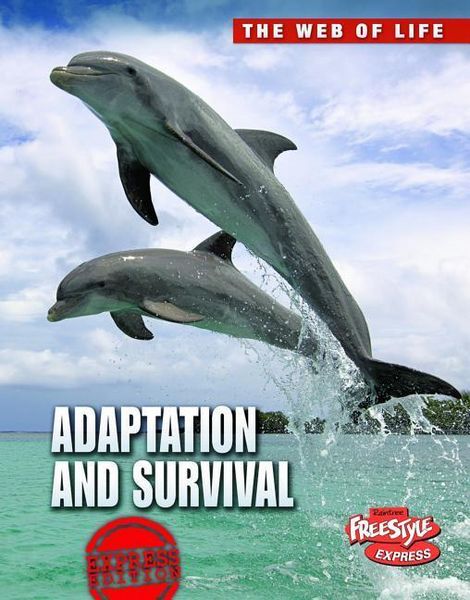 Produktbild: Adaptation and Survival