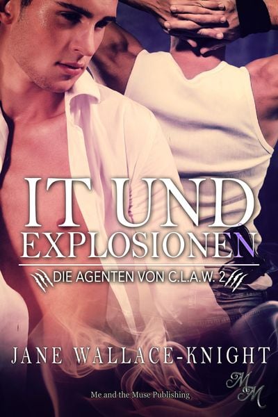 Produktbild: IT und Explosionen