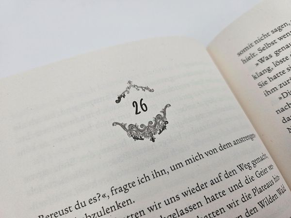 Produktbild: Night of Shadows and Flames &ndash; Die Ewige Nacht