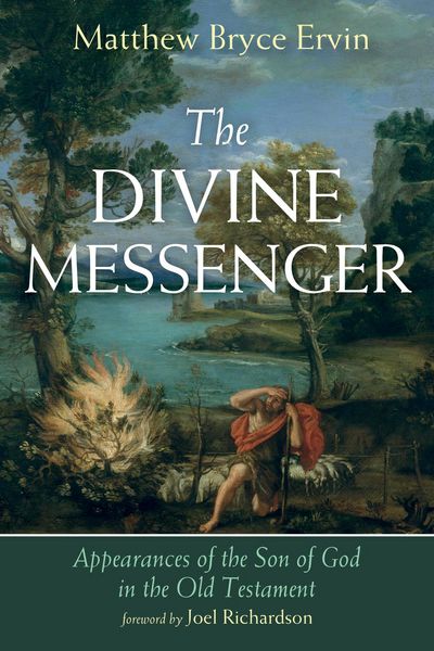 Produktbild: The Divine Messenger
