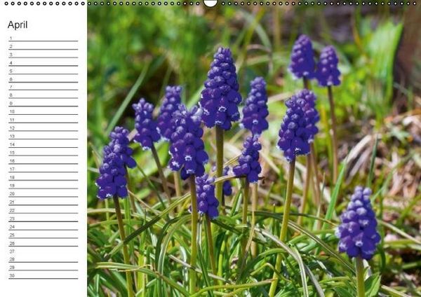 Produktbild: Ich denk an Dich ... Pers&ouml;nlicher Terminkalender (Wandkalender immerw&auml;hrend DIN A2 quer)