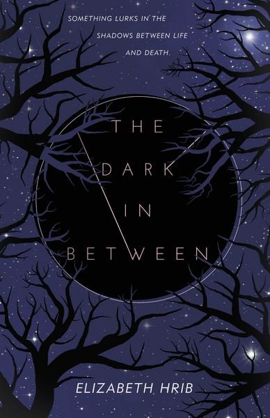 Produktbild: The Dark In-Between