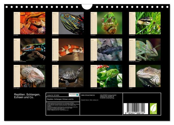 Produktbild: Reptilien. Schlangen, Echsen und Co. (Wandkalender 2026 DIN A4 quer), CALVENDO Monatskalender