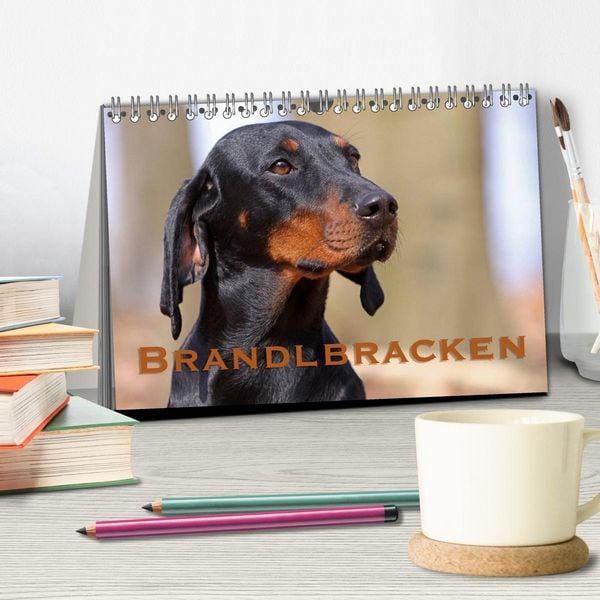 Produktbild: Brandlbracken (Tischkalender 2026 DIN A5 quer), CALVENDO Monatskalender
