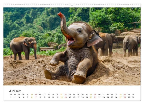 Produktbild: Elefanten Kinder - kleine Riesen (hochwertiger Premium Wandkalender 2026 DIN A2 quer), Kunstdruck in Hochglanz
