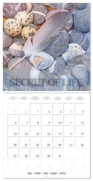 Produktbild: Life is better at the sea (Wall Calendar 2026 12 &times; 12 Inch) CALVENDO 12 Month Wall Calendar