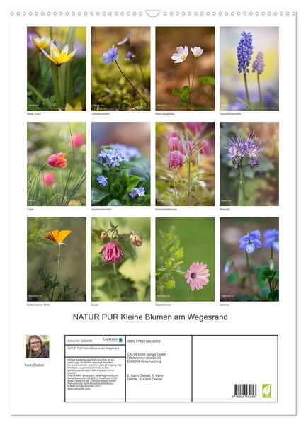 Produktbild: NATUR PUR Kleine Blumen am Wegesrand (Wandkalender 2026 DIN A2 hoch), CALVENDO Monatskalender
