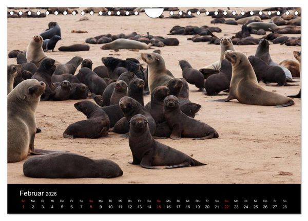 Produktbild: Namibias Tiere: von gro&szlig; bis klein (Wandkalender 2026 DIN A4 quer), CALVENDO Monatskalender