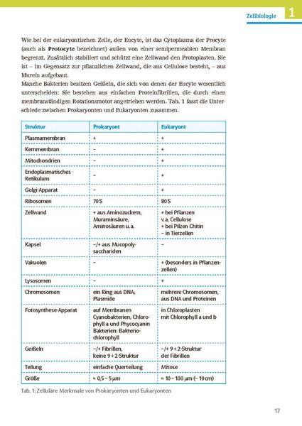 Produktbild: Klett Sicher im Abi Biologie