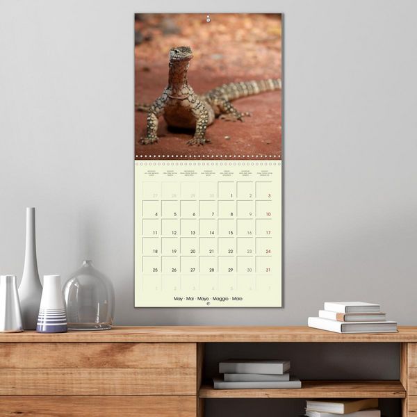 Produktbild: Les merveilles du monde les reptiles (Calendrier mural carr&eacute; 2026 30x30 cm) Calendrier double avec une page pour vos prises de notes