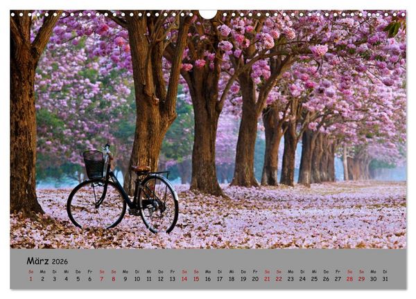 Produktbild: Liebe zum Fahrrad (Wandkalender 2026 DIN A3 quer), CALVENDO Monatskalender