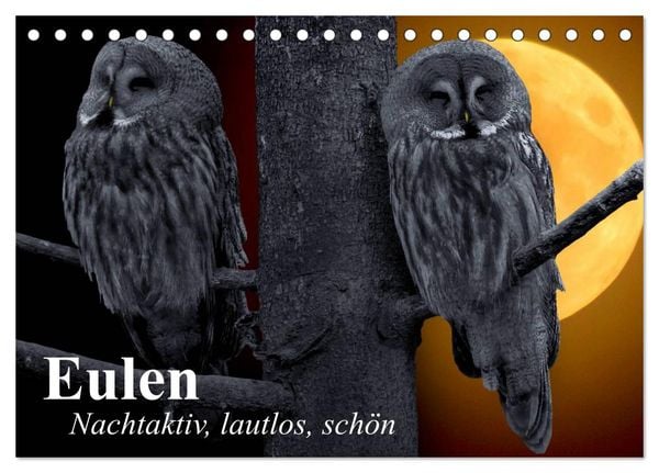 Produktbild: Eulen. Nachtaktiv, lautlos, sch&ouml;n (Tischkalender 2026 DIN A5 quer), CALVENDO Monatskalender
