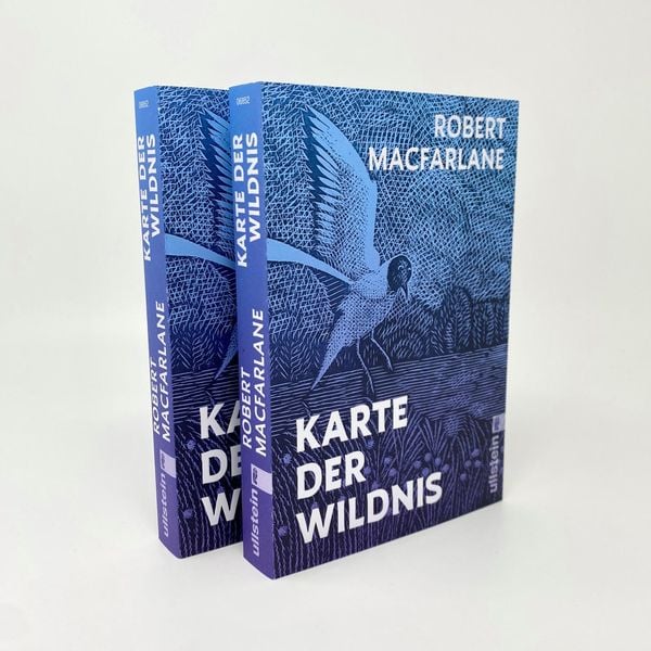 Produktbild: Karte der Wildnis