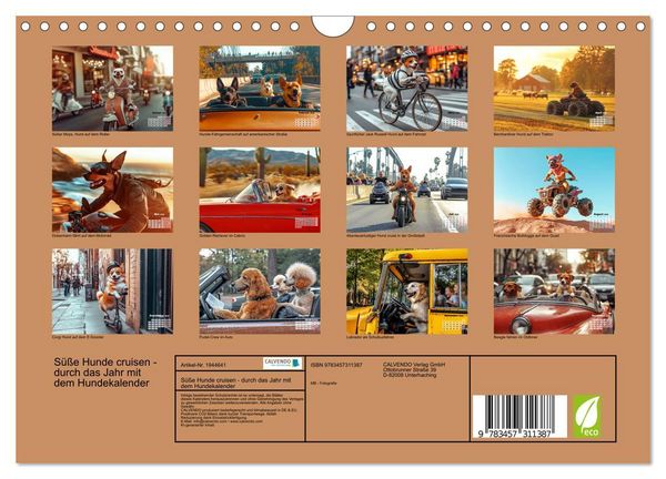 Produktbild: S&uuml;&szlig;e Hunde cruisen - durch das Jahr mit dem Hundekalender (Wandkalender 2026 DIN A4 quer), CALVENDO Monatskalender