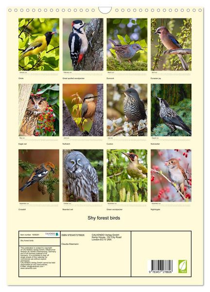 Produktbild: Shy forest birds (Wall Calendar 2026 DIN A3 portrait), CALVENDO 12 Month Wall Calendar