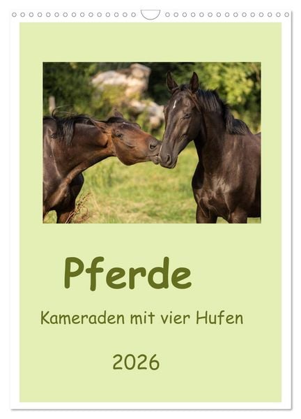 Produktbild: Pferde - Kameraden mit vier Hufen (Wandkalender 2026 DIN A3 hoch), CALVENDO Monatskalender