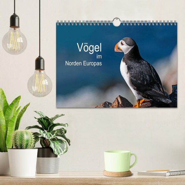 Produktbild: V&ouml;gel im Norden Europas (Wandkalender 2026 DIN A4 quer), CALVENDO Monatskalender