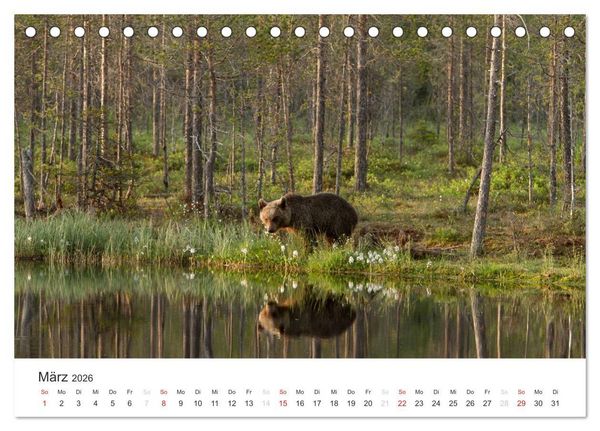 Produktbild: Naturparadies Finnland (Tischkalender 2026 DIN A5 quer), CALVENDO Monatskalender