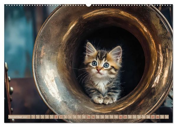 Produktbild: Miau-sikalische Momente (hochwertiger Premium Wandkalender 2027 DIN A2 quer), Kunstdruck in Hochglanz
