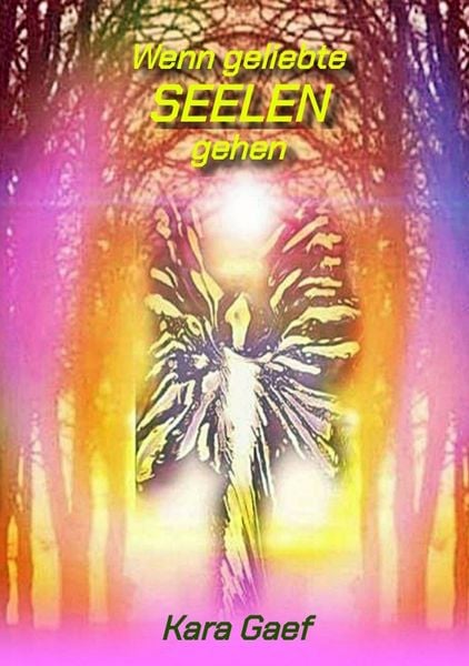 Wenn geliebte Seelen gehen, Taschenbuch von Kara Gaef, Tredition, 9783384835697