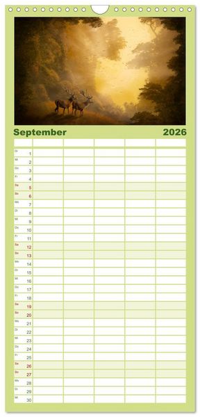 Produktbild: Familienplaner 2026 - Geheimnisse des alten Waldes mit 5 Spalten (Wandkalender, 21 x 45 cm) CALVENDO