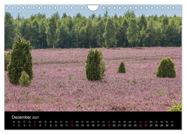 Produktbild: L&uuml;neburger Heide (Wandkalender 2027 DIN A4 quer), CALVENDO Monatskalender